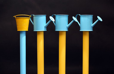 Similar image 11768515