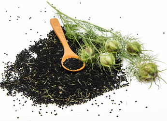 Similar image 11768679