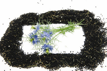 Similar image 11768682