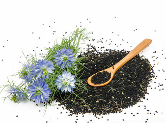 Similar image 11768663