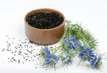 Similar image 11768668