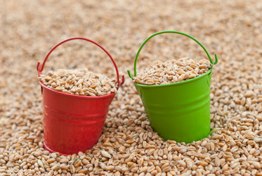 Similar image 11768890