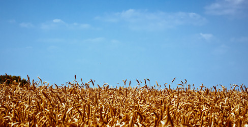 Similar image 11768489