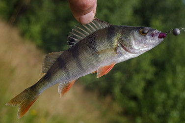 Similar image 11767645