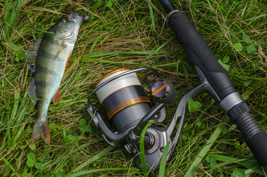 Similar image 11767646