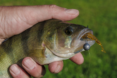 Similar image 11767647