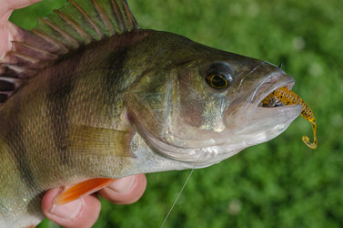 Similar image 11767648