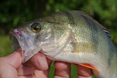 Similar image 11767649