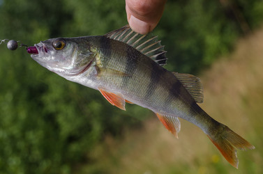 Similar image 11767650