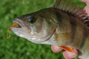 Similar image 11767651