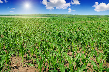 Similar image 11769069