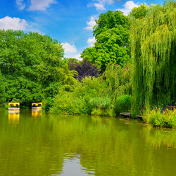 Similar image 11769070