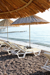 Similar image 11767516