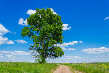 Similar image 11767539