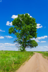 Similar image 11767547