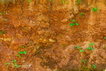 Similar image 11767549