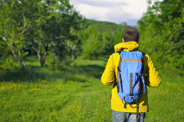 Similar image 11769420