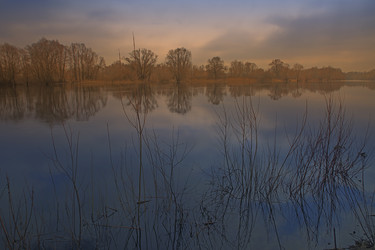 Similar image 11769508