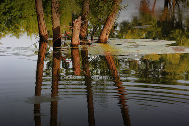 Similar image 11769509