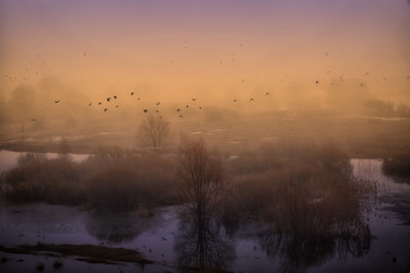 Similar image 11769510