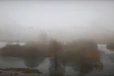 Similar image 11769511