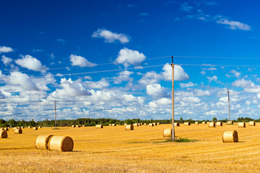 Similar image 11768340