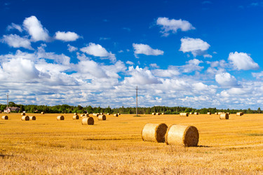 Similar image 11768361