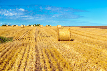 Similar image 11768366