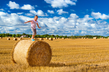 Similar image 11768367