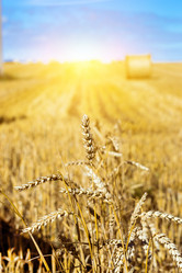 Similar image 11768370