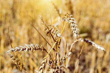 Similar image 11768371