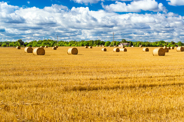 Similar image 11768372