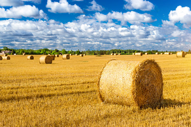 Similar image 11768373