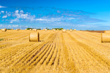 Similar image 11768374