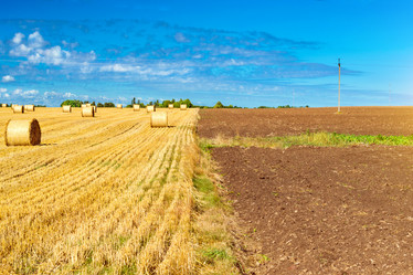 Similar image 11768375