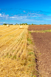 Similar image 11768376