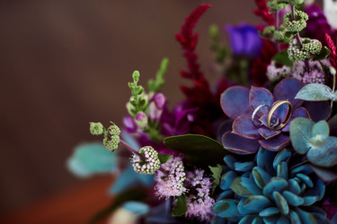 Similar image 11768259