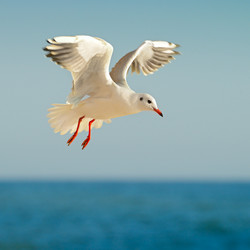 Similar image 11769073