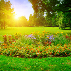 Similar image 11769074