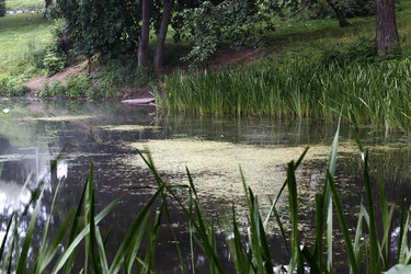 Similar image 11767554