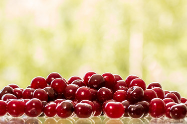 Similar image 11767635