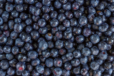 Similar image 11767640