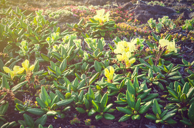 Similar image 11767670