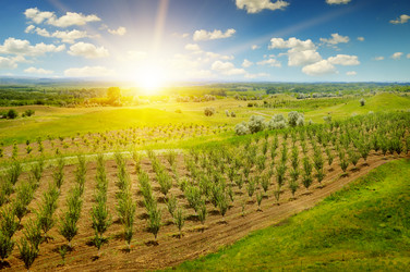 Similar image 11769084