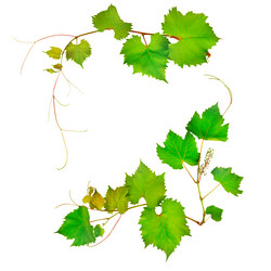 Similar image 11769089