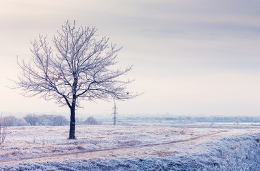 Similar image 11768570