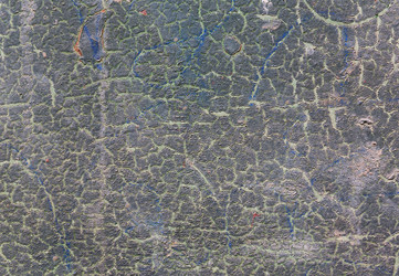 Similar image 11768588