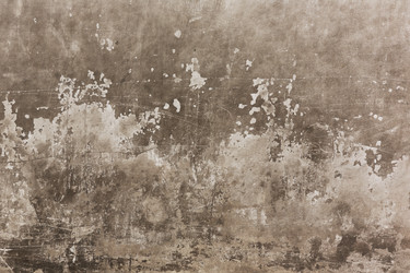 Similar image 11768589