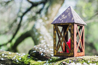 Similar image 11773061