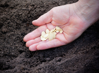 Similar image 11767573